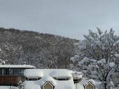 -二世古滑雪场