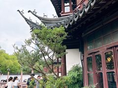 -南翔馒头店(豫园店)