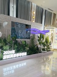 -深圳美莱医疗美容医院