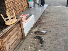 -老四川平头酸菜鱼(衙前店)