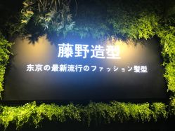 点击看大图 -藤野造型