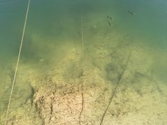 -广州市流溪河国家森林公园