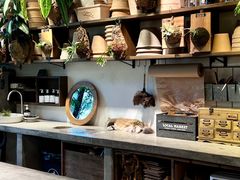 -自由生长植物工作室(深港花卉中心店)