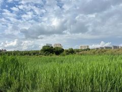 -快乐小羊(富强中路店)