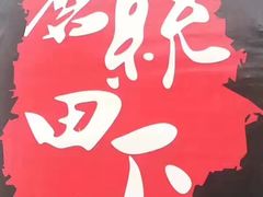 -蘑统田下·野生菌火锅