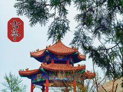 -白水寺森林公园