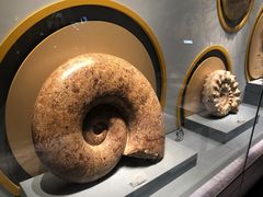 -湖南省地质博物馆