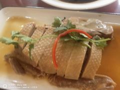 -旭龙鱼头王(航华店)