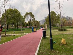 -南翔镇银翔湖公园