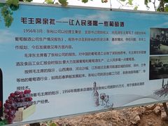 -北京张裕爱斐堡酒庄