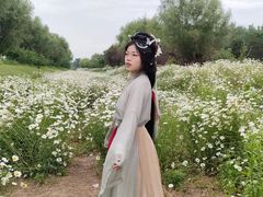 -汉长安城未央宫国家考古遗址公园