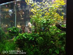 -The Dishes Seafood & Restaurant