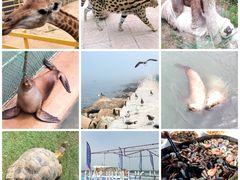 -西霞口神雕山野生动物世界