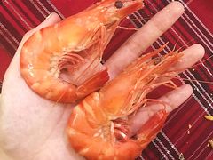 -QQ海鲜餐厅