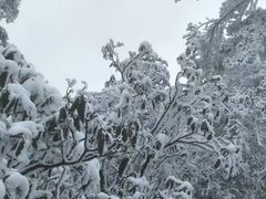 -西岭雪山大飞水景区