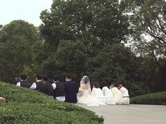 -美丽洲堂