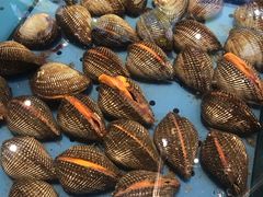 -潮庭·大连海鲜·炭火烧烤·扇贝王(大连店)