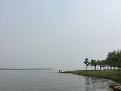 -瑶湖郊野森林公园