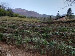 -姑婆山旅游区