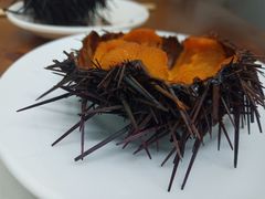 -海胆小馆(东北水饺·春柳店)