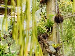 -深圳仙湖植物园
