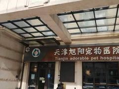 -美联众合宠物医院·爱萌分院·内外科·猫科中心