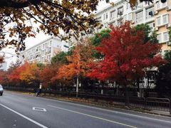 -杭州电子科技大学(下沙校区)