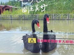 -东平国家森林公园
