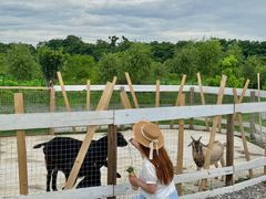 -军山湖云水间生态农业旅游景区