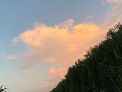 -济南大明湖景区