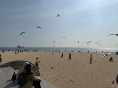 -海云台海滩