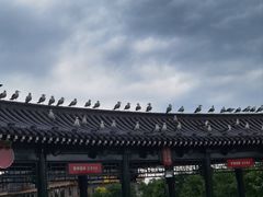 -珲春防川景区