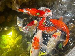 -揽季锅物会·海鲜姿造(三坊七巷店)