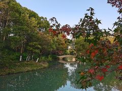 -青枫公园