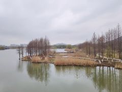 -长广溪湿地公园