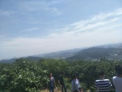 -龙寺生态园