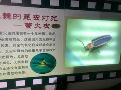 -上海昆虫博物馆