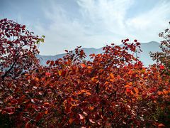 -周口店坡峰岭风景区