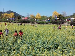 -红山村