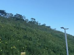 -白石龙音乐公园