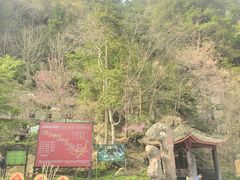 -太湖源风景区