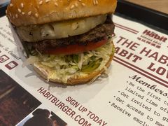 -The Habit Burger Grill 哈比特汉堡(爱琴海店)