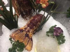 澳龙刺身-小溪桥三号院子(华庄店)
