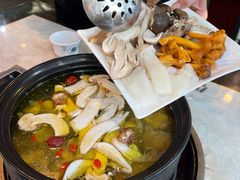 -蘑统田下·野生菌火锅