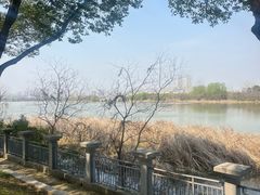 -金银湖国家城市湿地公园