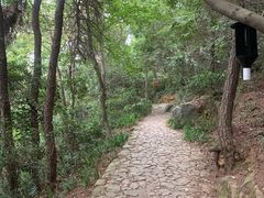 -虞山风景区