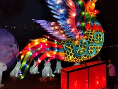 -青龙湖公园