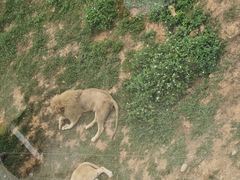 -泉州海丝野生动物世界