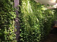 -绿茶餐厅(华联万柳店)