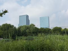 -西海子公园